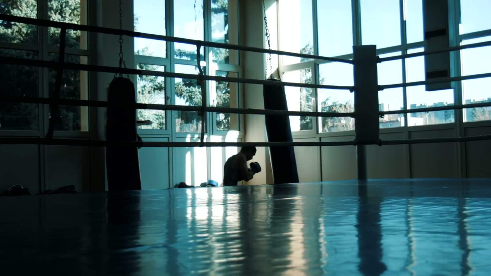 La sala di una palestra di boxe in controluce, con il ring e i sacchi